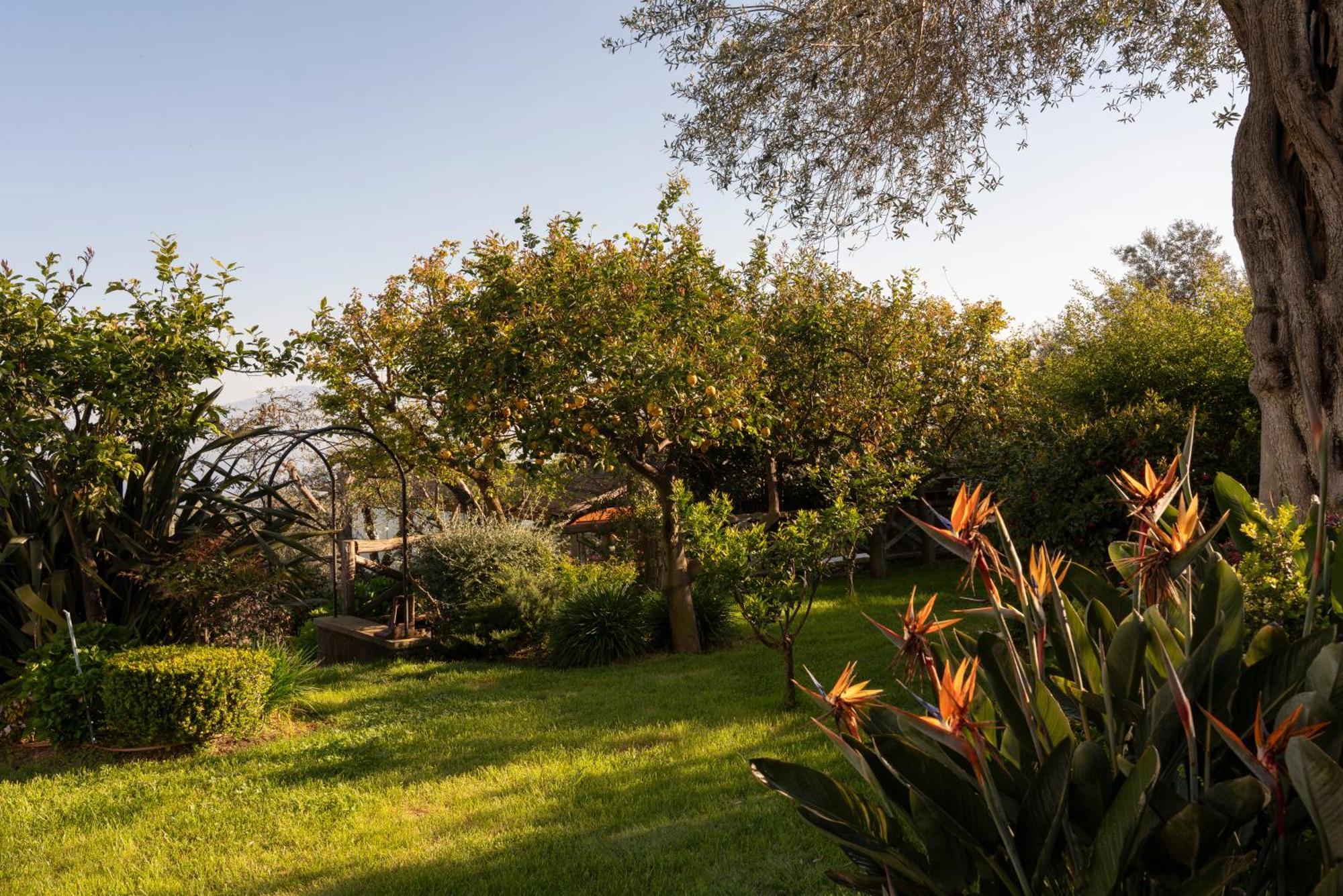 Relais Palazzo Del Barone (Adults Only) Otel Sorrento Dış mekan fotoğraf